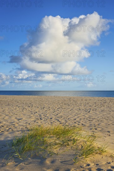 Lonely sandy beach in the sunny morning light, cloud, elbow, Sylt