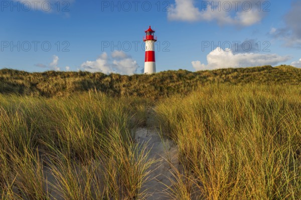 The Lister lighthouse at Ellenbogen, morning light, morning mood, dune, North Sea island, Sylt
