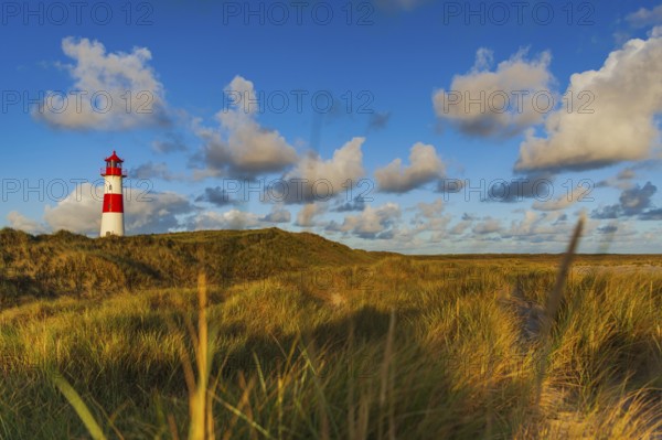 The Lister lighthouse at Ellenbogen, morning light, morning mood, dune, North Sea island, Sylt