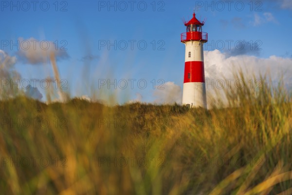 The Lister lighthouse at Ellenbogen, morning light, morning mood, dune, North Sea island, Sylt