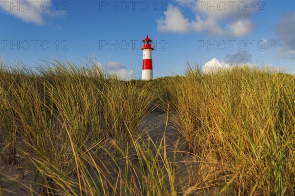 The Lister lighthouse at Ellenbogen, morning light, morning mood, dune, North Sea island, Sylt