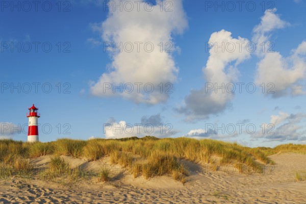 The Lister lighthouse at Ellenbogen, morning light, morning mood, dune, North Sea island, Sylt
