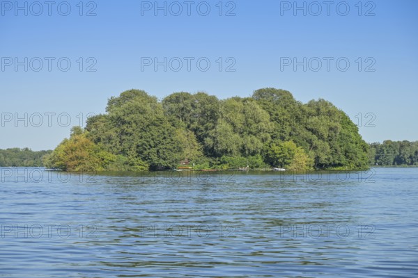 Lindwerder Island, Tegeler See, Tegel, Reinickendorf, Berlin, Germany
