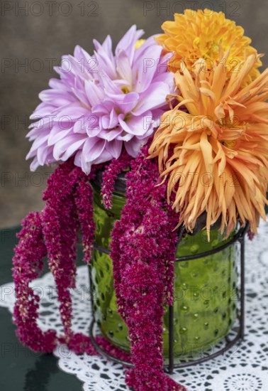 Small bouquet with dahlias and foxtail in a green glass vase, North Rhine-Westphalia, Germany