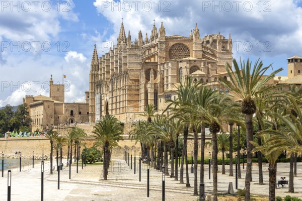 Cathedral Church Catedral de Palma de Majorca La Seu in Palma de Majorca, Spain