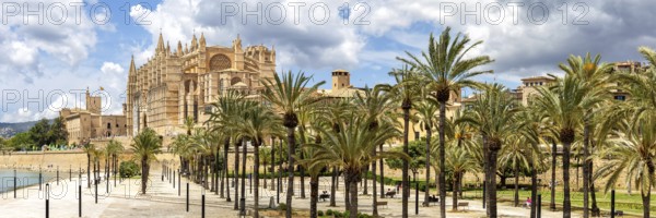 Cathedral Church Catedral de Palma de Majorca La Seu Panorama in Palma de Majorca, Spain