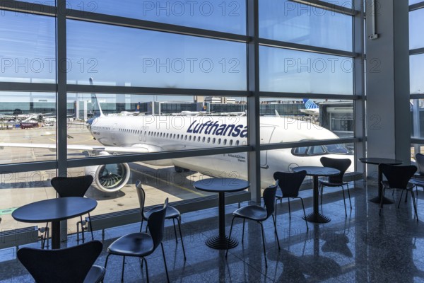 A Lufthansa Airbus A321neo aircraft with the registration number D-AIEM at Frankfurt Airport, Germany