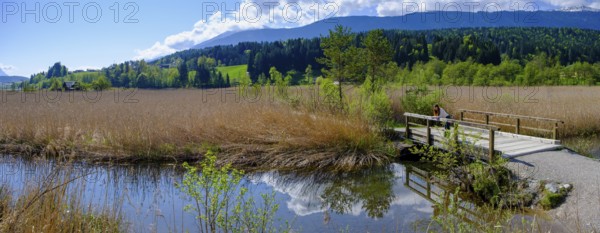 Slow Trail, reeds and springs at Lake Pressegger See, near Hermagor, Gailtal, Carinthia, Austria