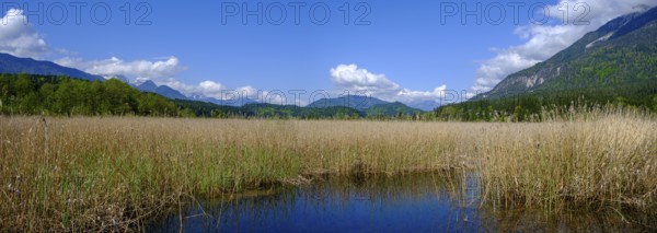 Slow Trail, reeds and springs at Lake Pressegger See, near Hermagor, Gailtal, Carinthia, Austria