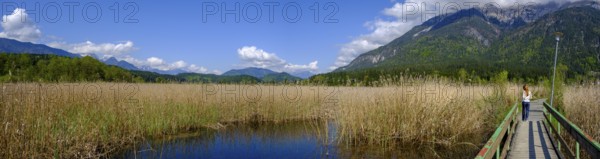 Slow Trail, reeds and springs at Lake Pressegger See, near Hermagor, Gailtal, Carinthia, Austria