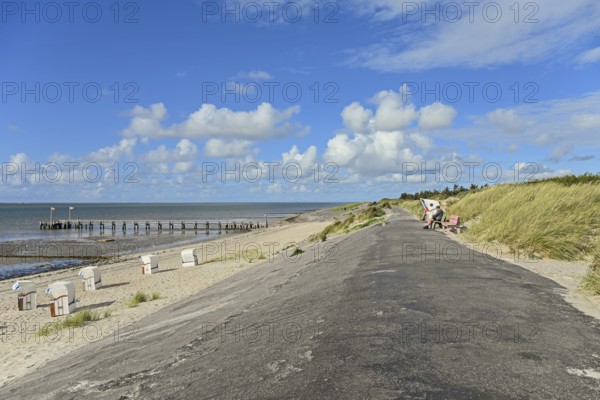 Tar dyke Utersum directly on the Wadden Sea, Föhr, North Frisian Island, North Frisia, Schleswig-Holstein, Germany