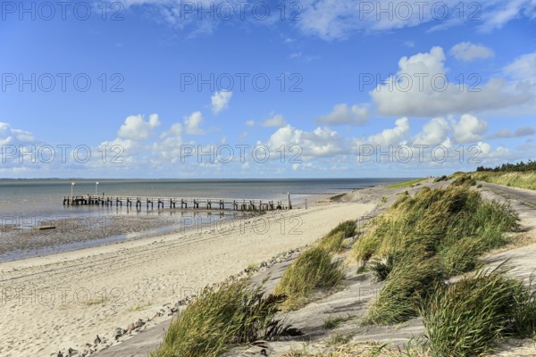 Tar dyke Utersum directly on the Wadden Sea, Föhr, North Frisian Island, North Frisia, Schleswig-Holstein, Germany