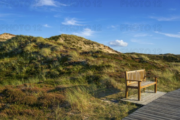 Jetty with bench in the dunes, resting place, North Sea, island, Sylt