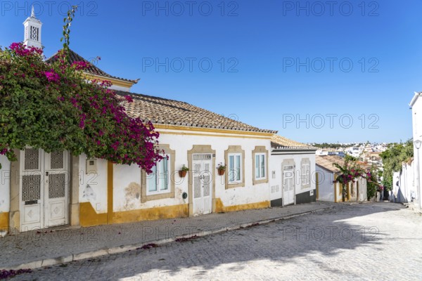 Old town alleys, houses, partly lushly overgrown, Tavira, in the Algarve, Portugal