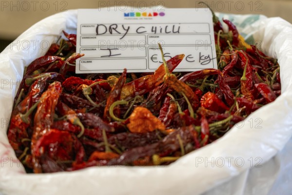 The Mercado Municipal de Tavira, market stalls of all kinds under one roof, spices, chilli peppers, dried, in the Algarve, Portugal