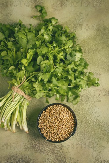 A bundle of fresh cilantro sits neatly tied, next to a small bowl filled with coriander seeds. The green herbs contrast with the earthy tones of the surface, highlighting their vibrant colors