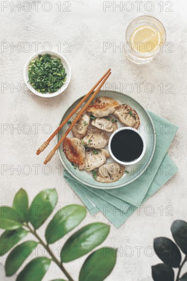 Gyoza Japanese dumplings, fried, with sauce, green onion, and sesame seeds, natural color, light background