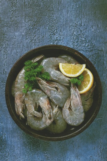 Fresh raw white-footed shrimp, tiger prawns vannamey, on a clay plate, with lemon and herbs, on a blue background
