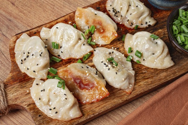 Gyoza Japanese dumplings, fried, with sauce, with green onion and sesame seeds, no people, selective focus