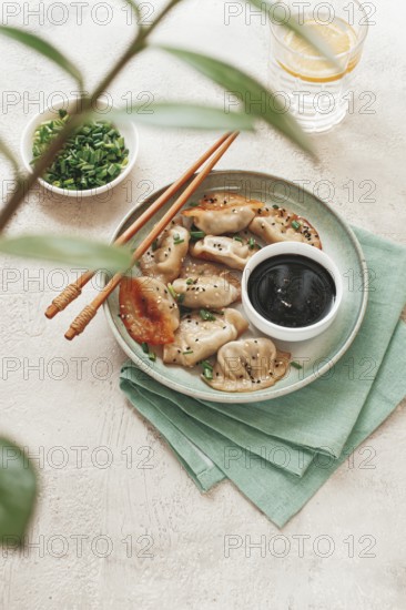 Gyoza Japanese dumplings, fried, with sauce, green onion, and sesame seeds, natural color, light background