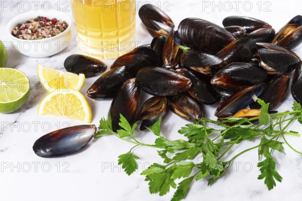 Fresh mussels scattered on the table, with ingredients, lemon and herbs, white wine, top view, light background, no people