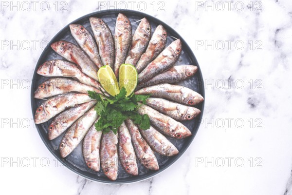 Fresh mullet fish, laid out on a large platter, garnished with lime slices and cilantro, top view