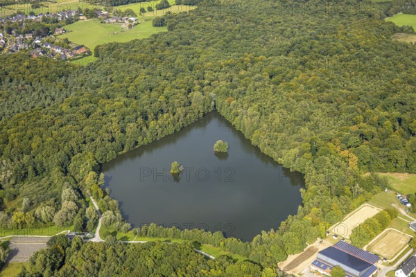Aerial view, Rotbachsee in the forest, Oberlohberg, Dinslaken, Ruhr area, North Rhine-Westphalia, Germany, DE, Europe, Hanseatic city, aerial view, aerial photography, aerial photography, Lower Rhine, lake, overview, bird's eye view, forest area, birds-eyes view, overview