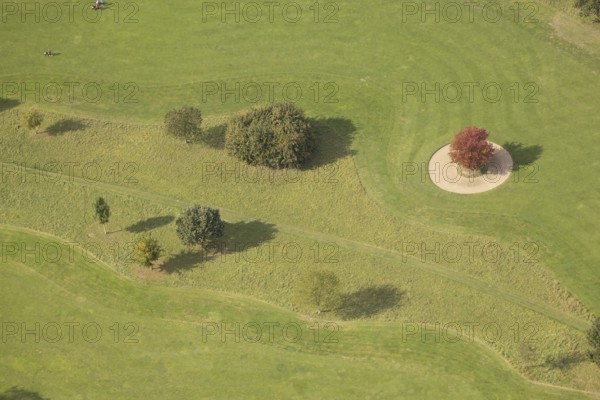 Aerial view, red maple tree on a green meadow, An den Höfen, shapes and colours, Bruckhausen, Hünxe, Ruhr area, North Rhine-Westphalia, Germany, tree, group of trees, DE, Europe, aerial view, aerial photography, aerial photography, Lower Rhine, overview, bird's-eye view, meadow, birds-eyes view, green lung, overview