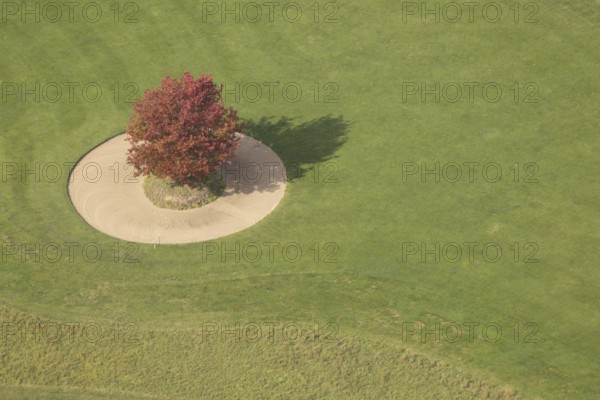 Aerial view, red maple tree on a green meadow, An den Höfen, shapes and colours, Bruckhausen, Hünxe, Ruhr area, North Rhine-Westphalia, Germany, tree, DE, Europe, aerial view, aerial photography, aerial photography, Lower Rhine, overview, bird's eye view, meadow, birds-eyes view, green lung, overview