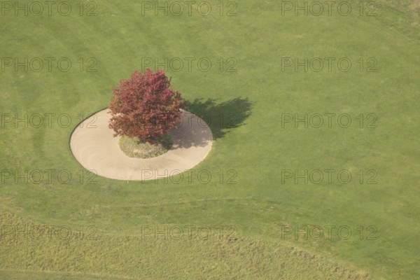 Aerial view, red maple tree on a green meadow, An den Höfen, shapes and colours, Bruckhausen, Hünxe, Ruhr area, North Rhine-Westphalia, Germany, tree, DE, Europe, aerial view, aerial photography, aerial photography, Lower Rhine, overview, bird's eye view, meadow, birds-eyes view, green lung, overview