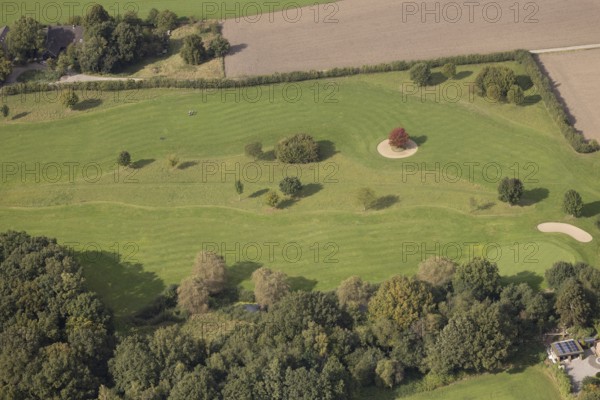 Aerial view, red maple tree on a green meadow, An den Höfen, shapes and colours, Bruckhausen, Hünxe, Ruhr area, North Rhine-Westphalia, Germany, tree, group of trees, DE, Europe, aerial view, aerial photography, aerial photography, Lower Rhine, overview, bird's-eye view, meadow, birds-eyes view, green lung, overview