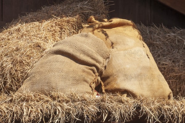 Flour sacks as decoration at the Bremer Osterwiese fair, Bürgerweide, Bremen, Germany
