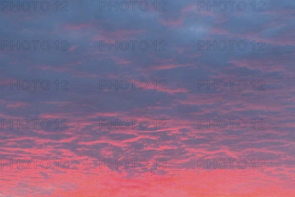 Above grey stratocumulus clouds Stratocumulus clouds Cluster layer clouds, below evening red in the evening sky, international