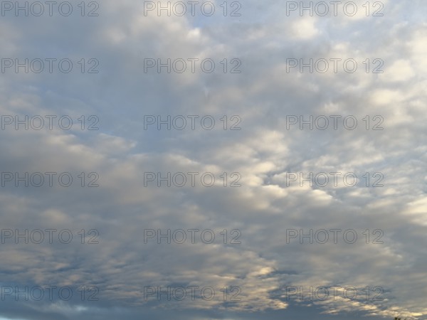 Bright altocumulus clouds Altocumulus clouds Cluster layer clouds under blue sky shortly in front of dawn, international