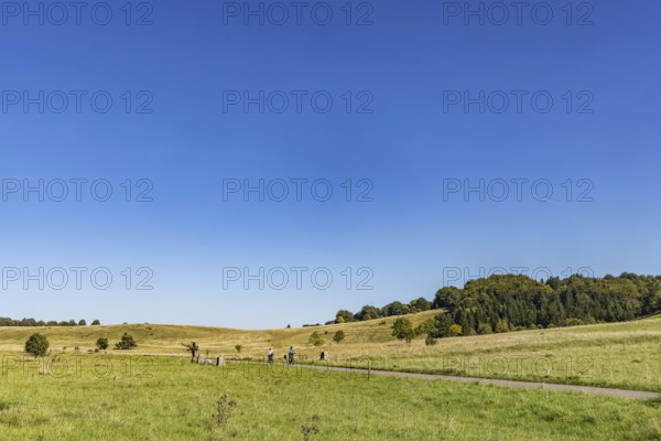 Pristine landscape in the Swabian Alb biosphere reserve with blue skies and small clouds. The former Münsingen military training area is an important part of the 85, 270-hectare nature reserve. It was established by the state of Baden-Württemberg in 2008. It has been a UNESCO biosphere reserve since 2009. Münsingen, Baden-Württemberg, Germany