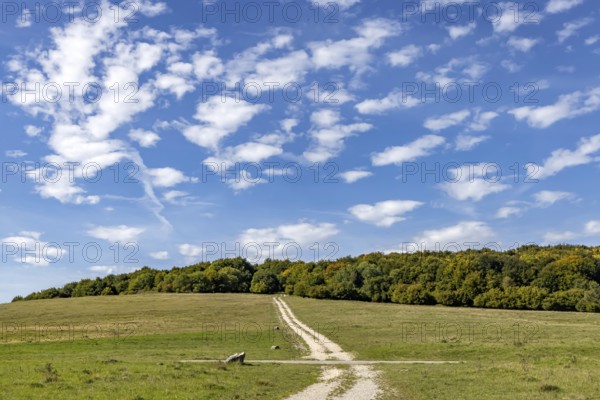 Pristine landscape in the Swabian Alb biosphere reserve with blue skies and small clouds. The former Münsingen military training area is an important part of the 85, 270-hectare nature reserve. It was established by the state of Baden-Württemberg in 2008. It has been a UNESCO biosphere reserve since 2009. Münsingen, Baden-Württemberg, Germany