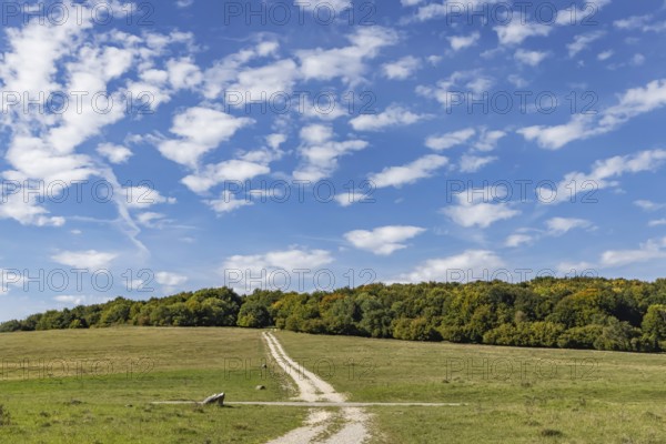 Pristine landscape in the Swabian Alb biosphere reserve with blue skies and small clouds. The former Münsingen military training area is an important part of the 85, 270-hectare nature reserve. It was established by the state of Baden-Württemberg in 2008. It has been a UNESCO biosphere reserve since 2009. Münsingen, Baden-Württemberg, Germany