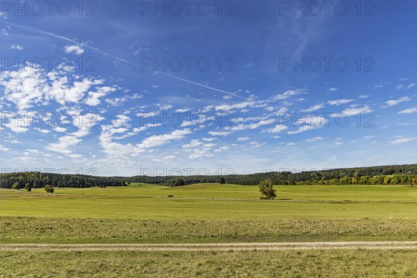 Pristine landscape in the Swabian Alb biosphere reserve with blue skies and small clouds. The former Münsingen military training area is an important part of the 85, 270-hectare nature reserve. It was established by the state of Baden-Württemberg in 2008. It has been a UNESCO biosphere reserve since 2009. Münsingen, Baden-Württemberg, Germany