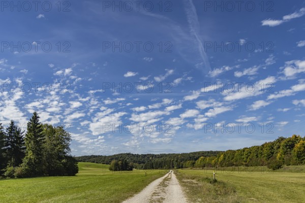 Pristine landscape in the Swabian Alb biosphere reserve with blue skies and small clouds. The former Münsingen military training area is an important part of the 85, 270-hectare nature reserve. It was established by the state of Baden-Württemberg in 2008. It has been a UNESCO biosphere reserve since 2009. Münsingen, Baden-Württemberg, Germany