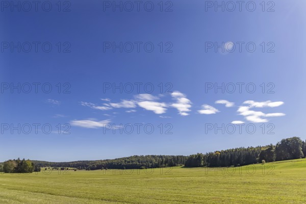 Pristine landscape in the Swabian Alb biosphere reserve with blue skies and small clouds. The former Münsingen military training area is an important part of the 85, 270-hectare nature reserve. It was established by the state of Baden-Württemberg in 2008. It has been a UNESCO biosphere reserve since 2009. Münsingen, Baden-Württemberg, Germany