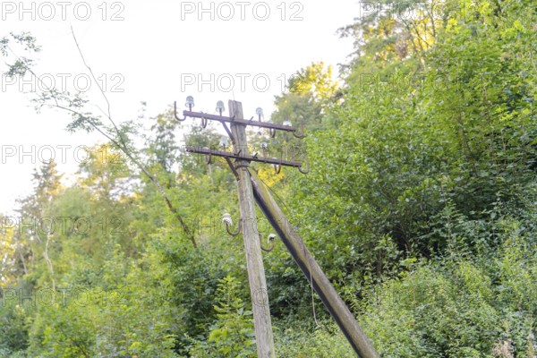 An old electricity pylon surrounded by green trees in the forest, Hermann Hesse railway construction site, Calw, Germany