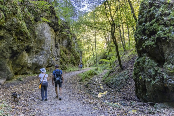 Trailfinger Gorge near Seeburg in the Swabian Alb. Man and woman with dog on a hike through the romantic forest. Bad Urach, Baden-Württemberg, Germany