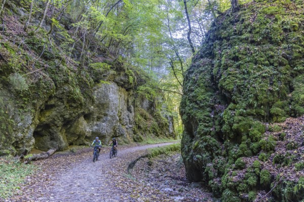 Trailfinger Gorge near Seeburg in the Swabian Alb. Two cyclists on a tour through the romantic forest. Bad Urach, Baden-Württemberg, Germany