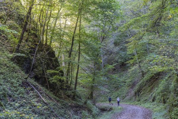 Trailfinger Gorge near Seeburg in the Swabian Alb. Man and woman with dog on a hike through the romantic forest. Bad Urach, Baden-Württemberg, Germany