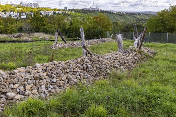 Areas with artificial stone piles for lizards. The city of Stuttgart has cleared allotments in the Oberer Freienstein area to reintroduce lizards that had been driven away from construction sites in the city. Stuttgart, Baden-Württemberg, Germany