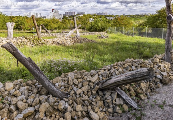Areas with artificial stone piles for lizards. The city of Stuttgart has cleared allotments in the Oberer Freienstein area to reintroduce lizards that had been driven away from construction sites in the city. Stuttgart, Baden-Württemberg, Germany