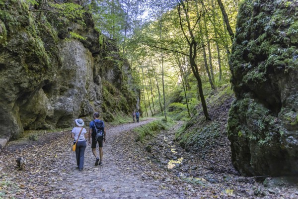 Trailfinger Gorge near Seeburg in the Swabian Alb. Man and woman with dog on a hike through the romantic forest. Bad Urach, Baden-Württemberg, Germany