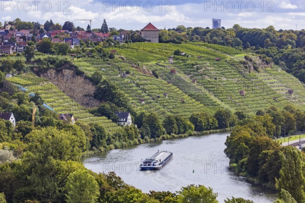 Terraced vineyards of the Zuckerberg vineyard. This is where the Cannstatter Zuckerle matures. Vineyard cottages on the steep slopes of the Neckar vineyards. The 105 metre long cargo ship ANNABELL on its way to the port of Stuttgart, Baden-Württemberg, Germany