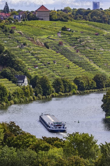 Terraced vineyards of the Zuckerberg vineyard. This is where the Cannstatter Zuckerle matures. Vineyard cottages on the steep slopes of the Neckar vineyards. The 105 metre long cargo ship ANNABELL on its way to the port of Stuttgart, Baden-Württemberg, Germany