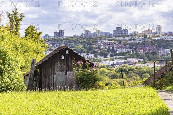 View of apartment blocks in Neugereut. Allotment garden on the Schnarrenberg with garden shed in late summer. Stuttgart, Baden-Württemberg, Germany